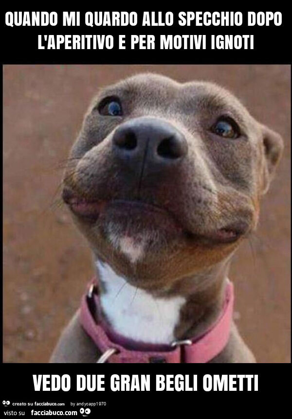 Quando mi quardo allo specchio dopo l'aperitivo e per motivi ignoti vedo due gran begli ometti