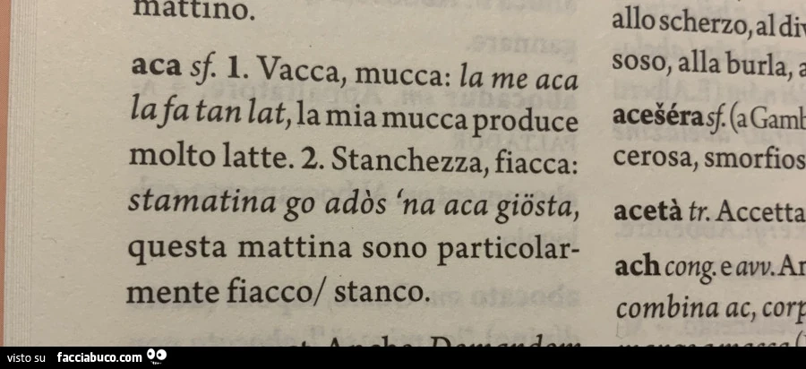 Vaccata