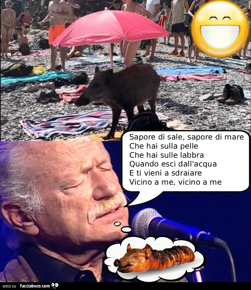 Vaccata