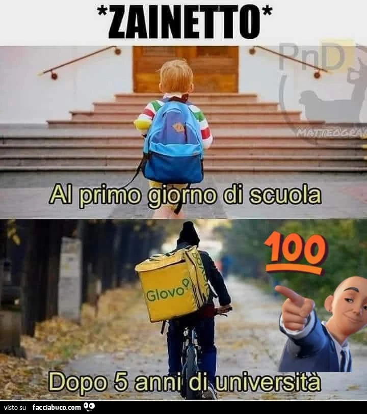 Vaccata