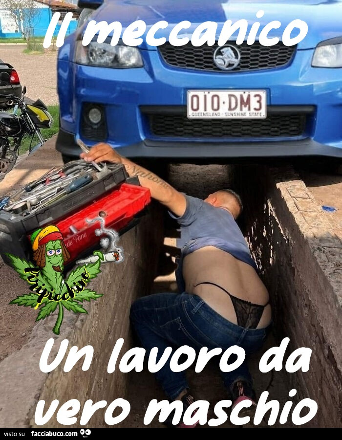 Vaccata