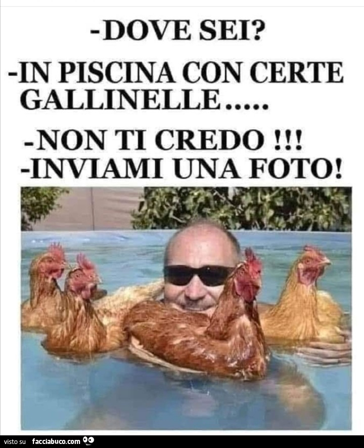 Vaccata