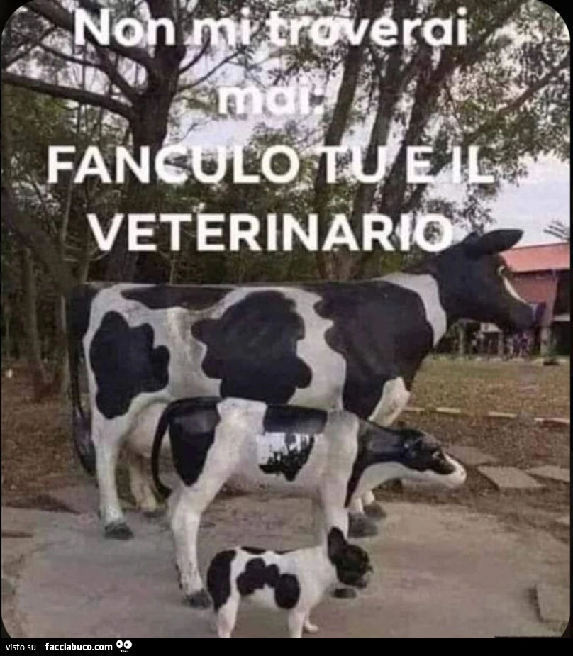 Vaccata