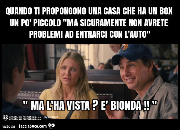 Quando ti propongono una casa che ha un box un po' piccolo "ma sicuramente non avrete problemi ad entrarci con l'auto"