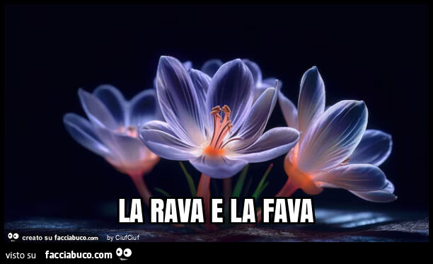 La rava e la fava
