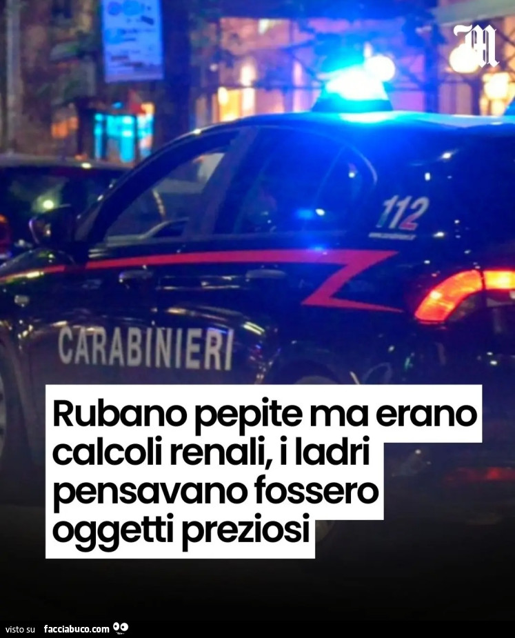 Rubano pepite ma erano calcoli renali i ladri pensavano fossero oggetti preziosi