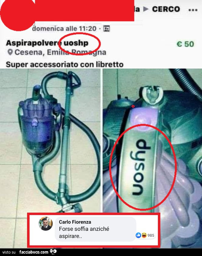 Vaccata