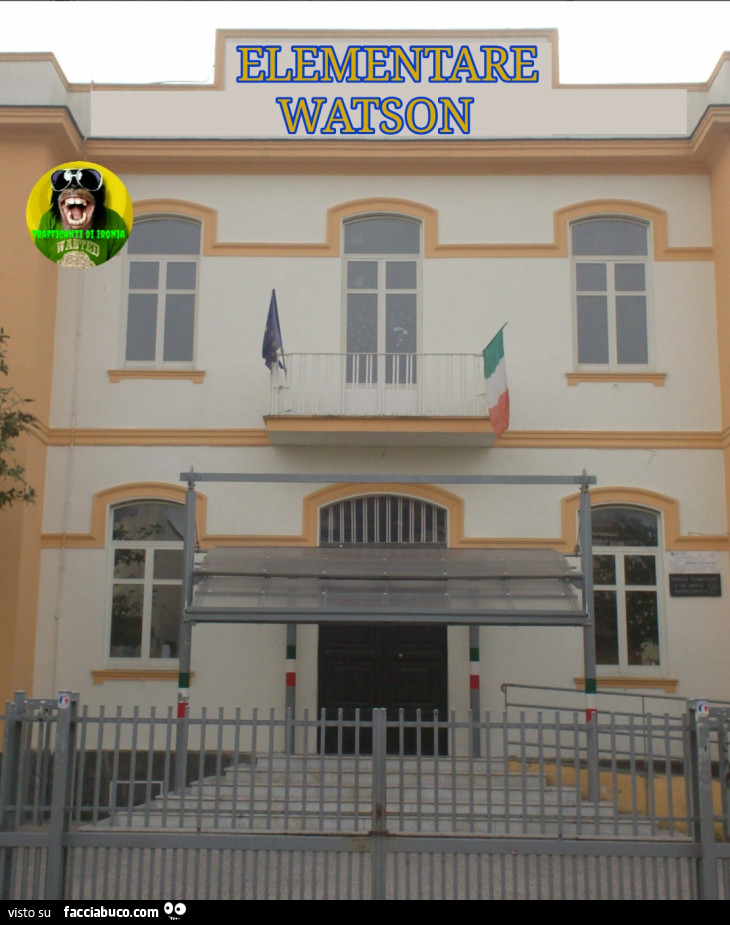 Elementare watson