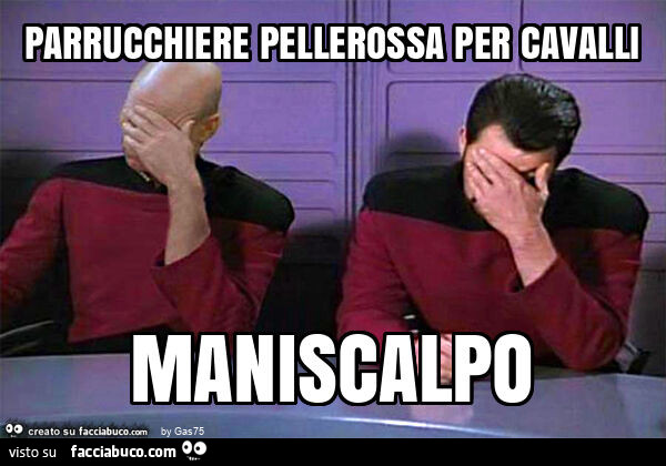 Parrucchiere pellerossa per cavalli maniscalpo