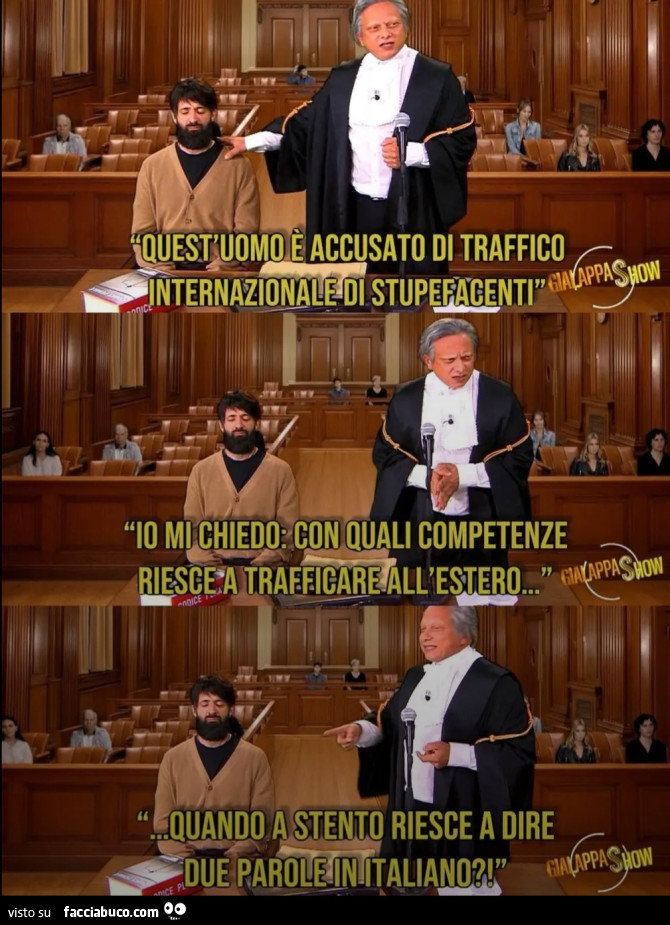 Quest'uomo è accusato di traffico internazionale di stupefacenti io mi chiedo con quali competenze riesce a trafficare all'estero quando a stento riesce a dire due parole in italiano gialappas show
