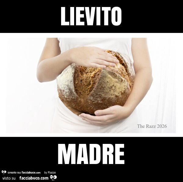 Lievito madre