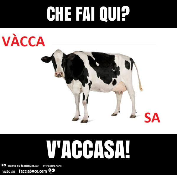 Che fai qui? V'accasa