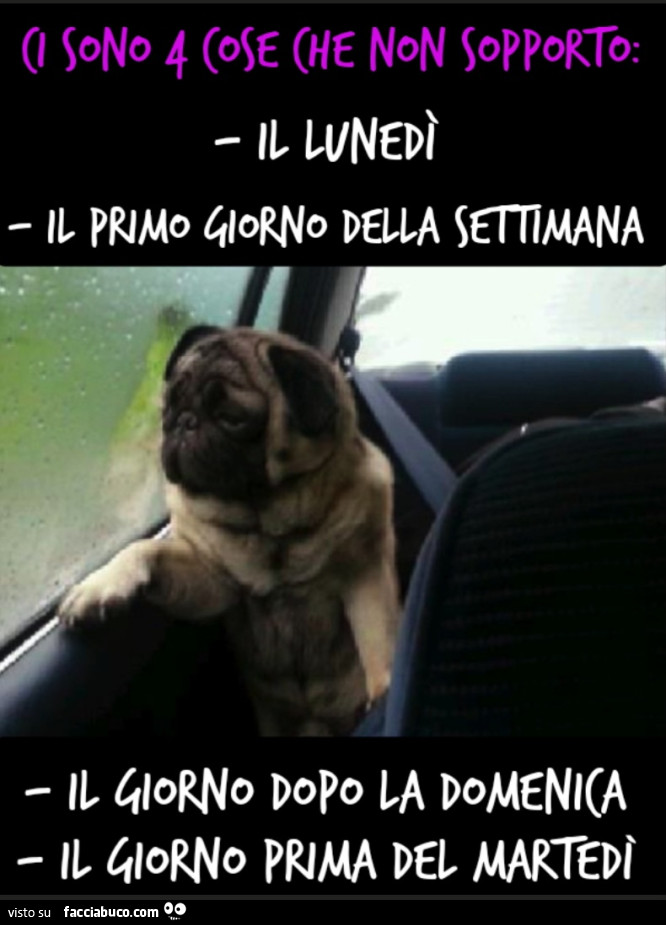Ci sono 4 cose che non sopporto il lunedì il primo giorno della settimana il giorno dopo la domenica il giorno prima del martedì cane