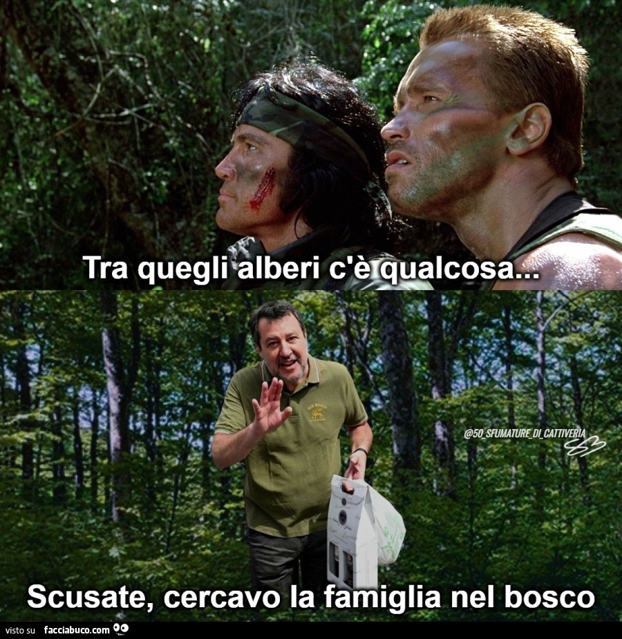 Tra quegli alberi c'è qualcosa