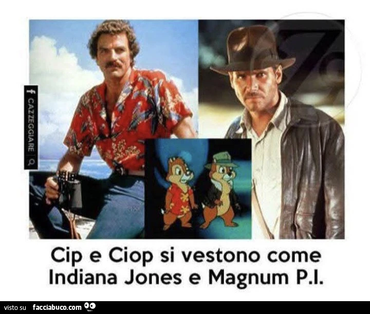 Vaccata