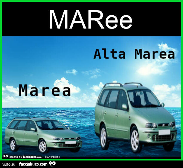 Maree
