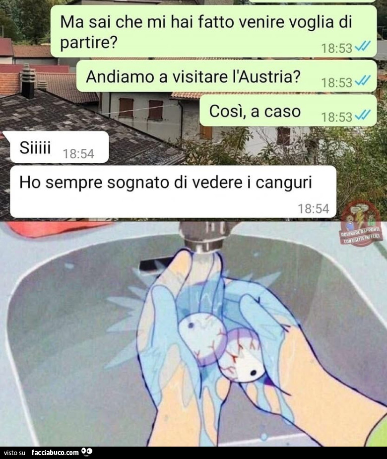 Vaccata