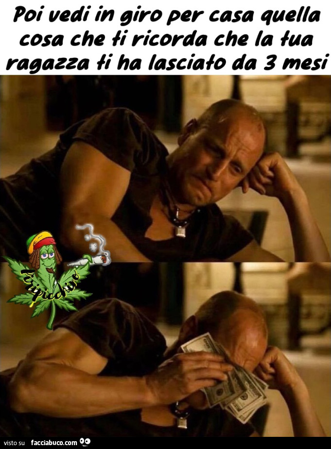 Vaccata