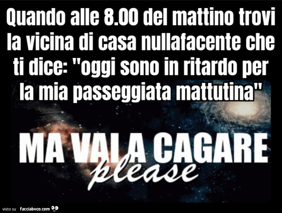 Quando alle 8.00 del mattino trovi la vicina di casa nullafacente che ti dice oggi sono in ritardo per la mia passeggiata mattutina ma vai a cagare please