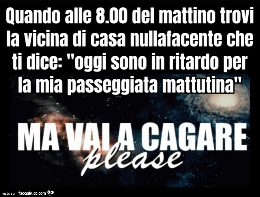 Quando alle 8.00 del mattino trovi la vicina di casa nullafacente che ti dice oggi sono in ritardo per la mia passeggiata mattutina ma vai a cagare please
