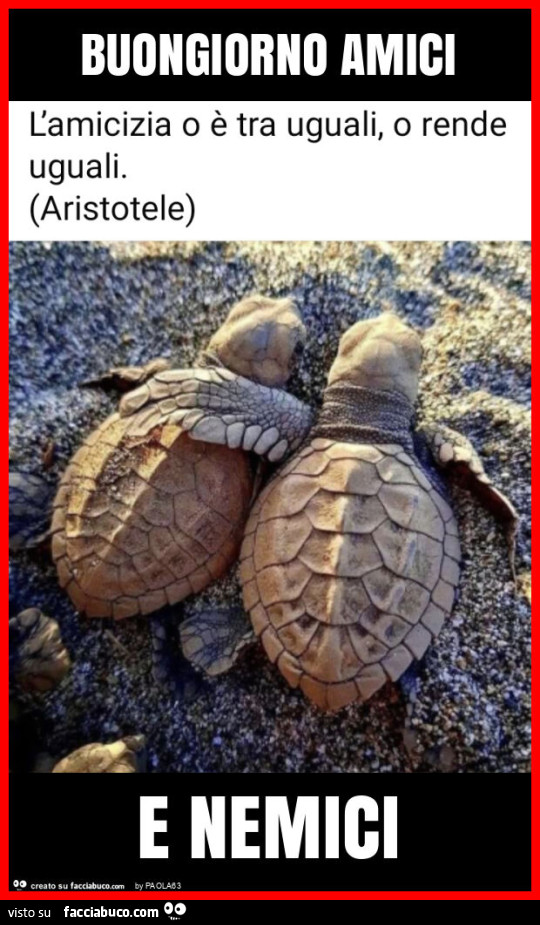 Buongiorno amici e nemici