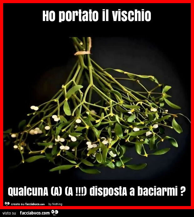 Ho portato il vischio qualcuna (a) (a! ) Disposta a baciarmi?