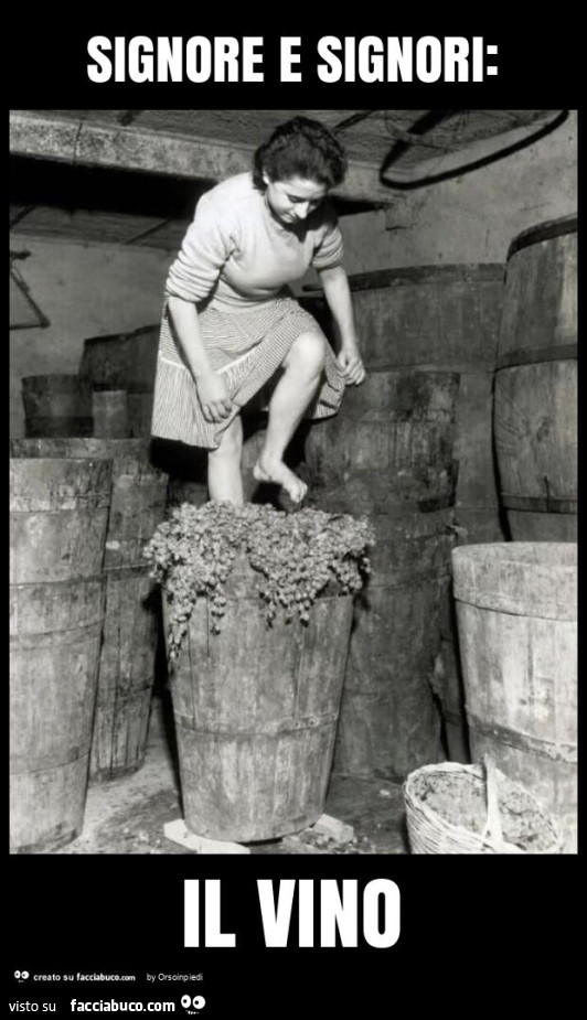 Signore e signori: il vino