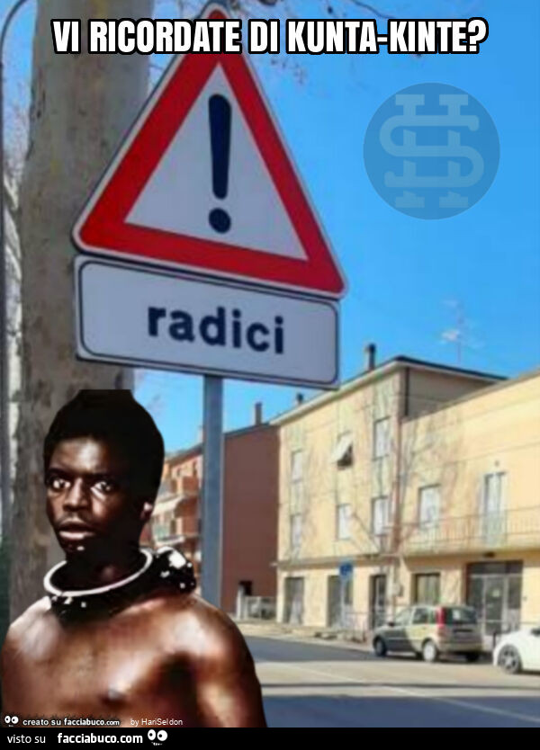Vi ricordate di kunta-kinte?