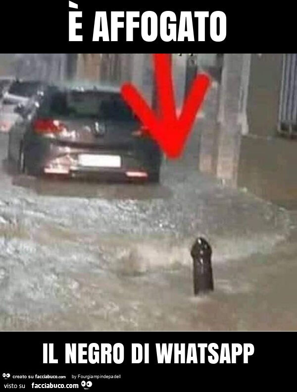 È affogato il negro di whatsapp