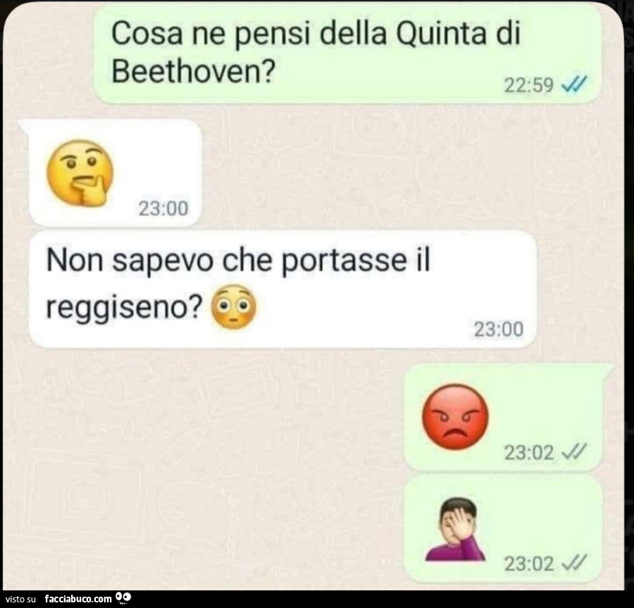 Cosa ne pensi della quinta di beethoven? Non sapevo che portasse il reggiseno?