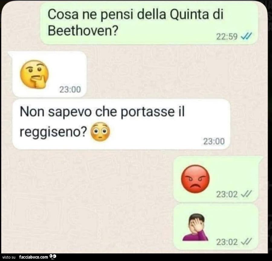 Cosa ne pensi della quinta di beethoven? Non sapevo che portasse il reggiseno?