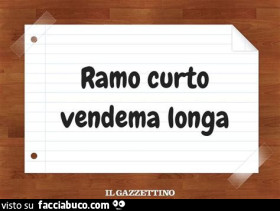 Vaccata