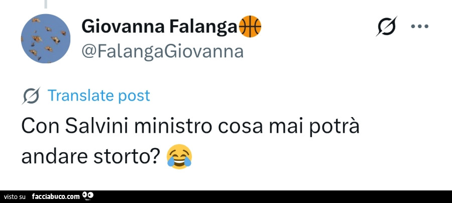 Con salvini ministro cosa mai potrà andare storto?