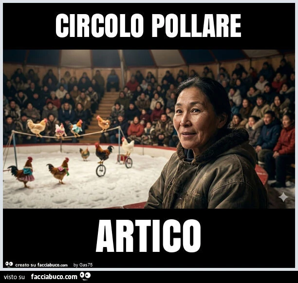 Circolo pollare artico