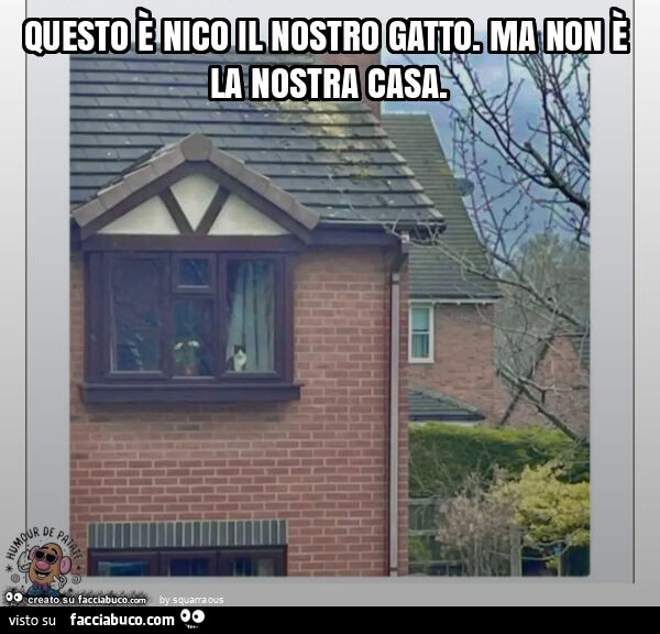 Questo è nico il nostro gatto. Ma non è la nostra casa