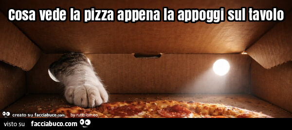Cosa vede la pizza appena la appoggi sul tavolo