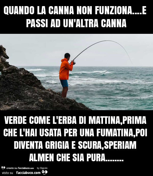 Quando la canna non funziona… e passi ad un'altra canna verde come l'erba di mattina, prima che l'hai usata per una fumatina, poi diventa grigia e scura, speriam almen che sia pura