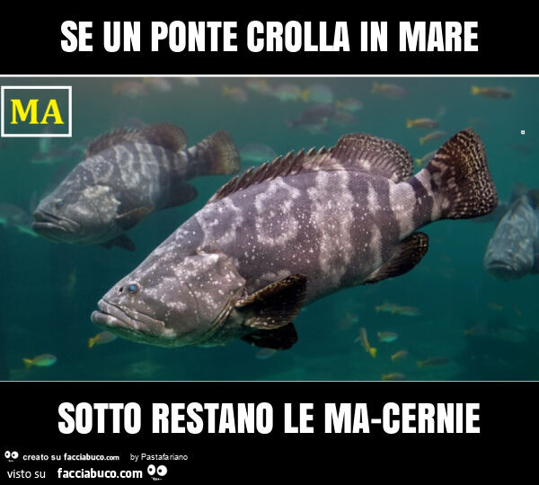 Se un ponte crolla in mare sotto restano le ma-cernie
