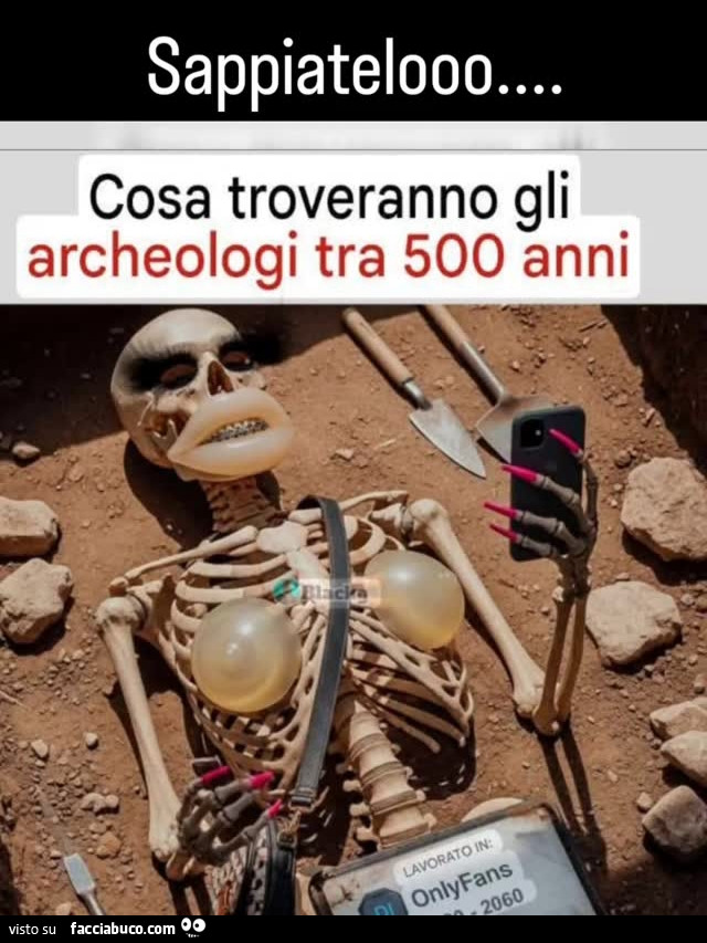 Vaccata