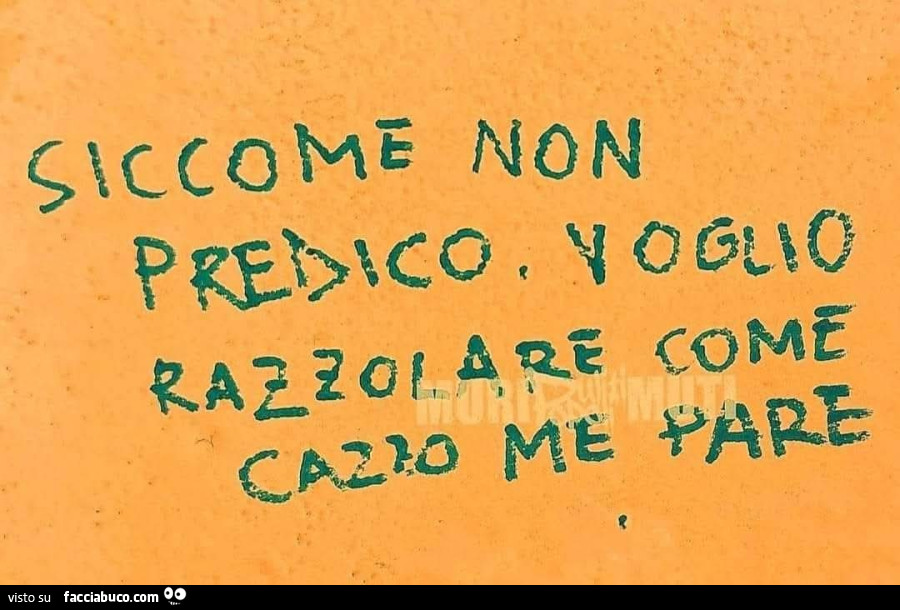Vaccata