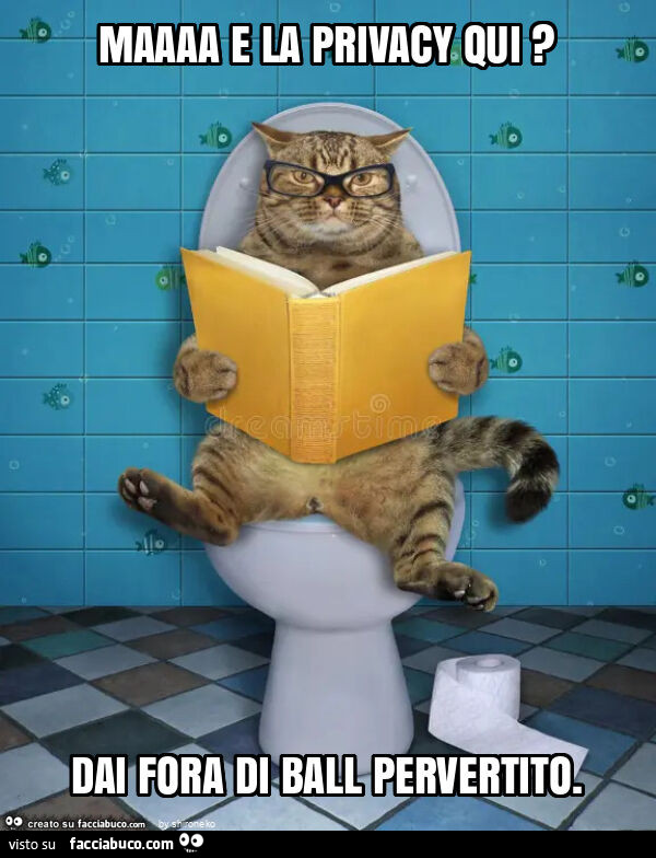 Maaaa e la privacy qui? Dai fora di ball pervertito
