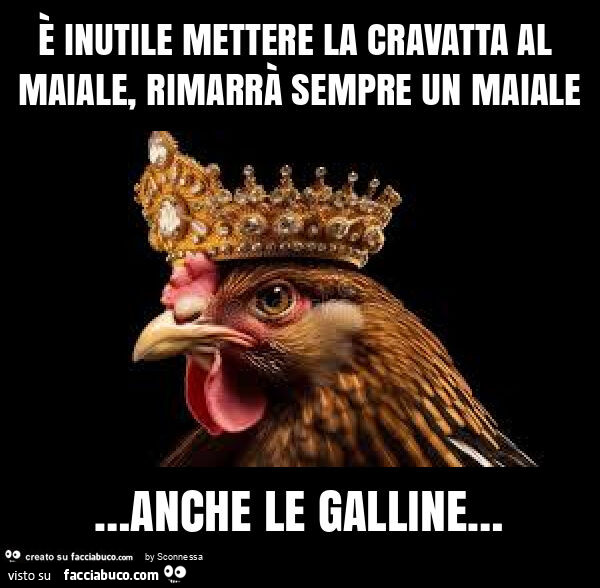 È inutile mettere la cravatta al maiale, rimarrà sempre un maiale … anche le galline…