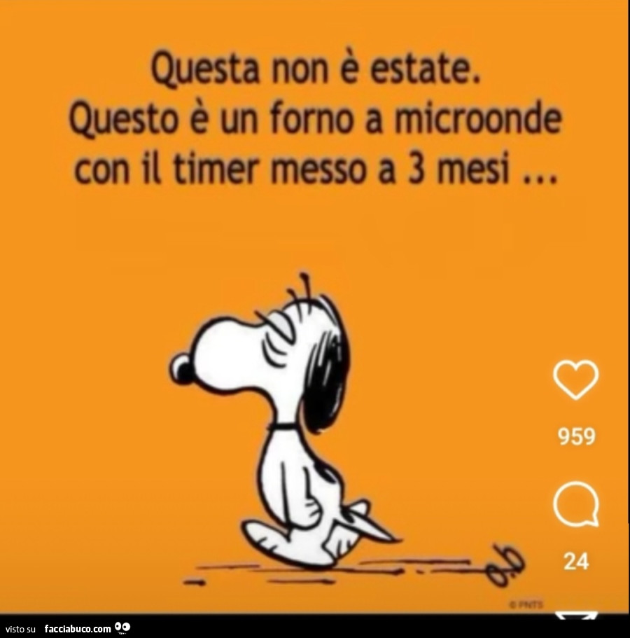 Questa non è estate. Questo è un forno a microonde con il timer messo a 3 mesi