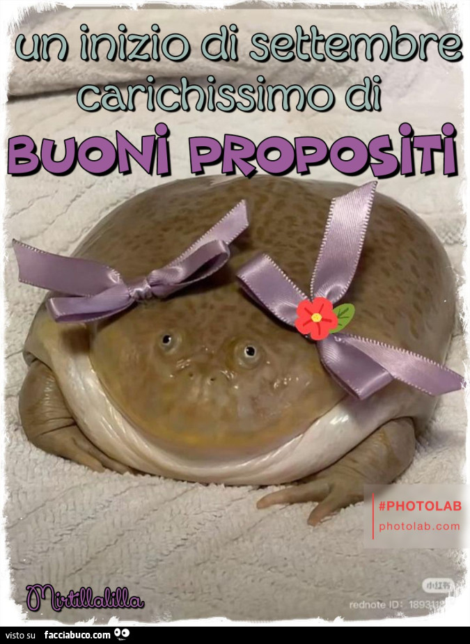 I buoni propositi