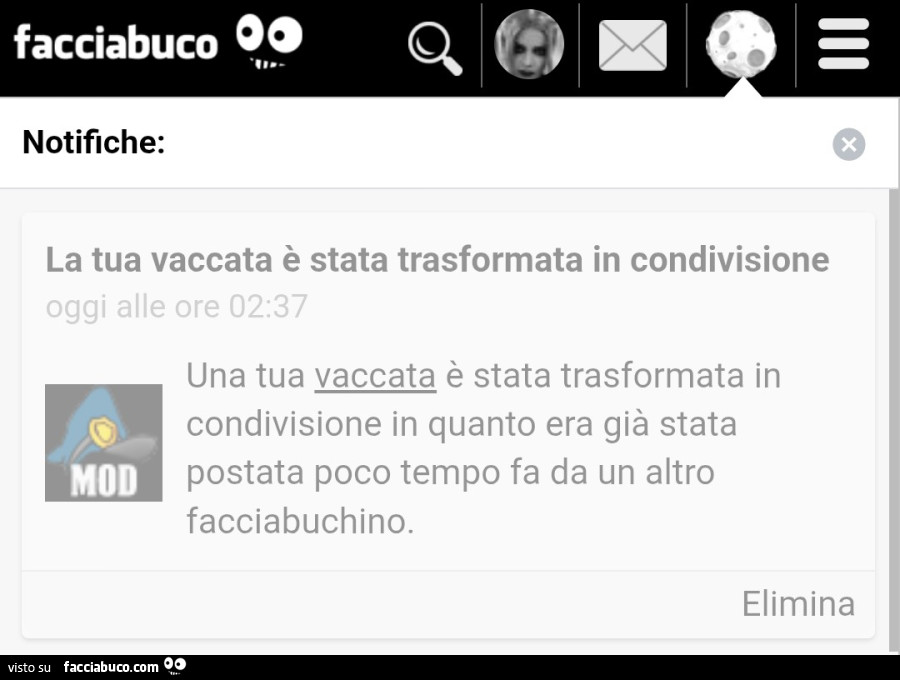 La tua vaccata è stata trasformata in condivisione