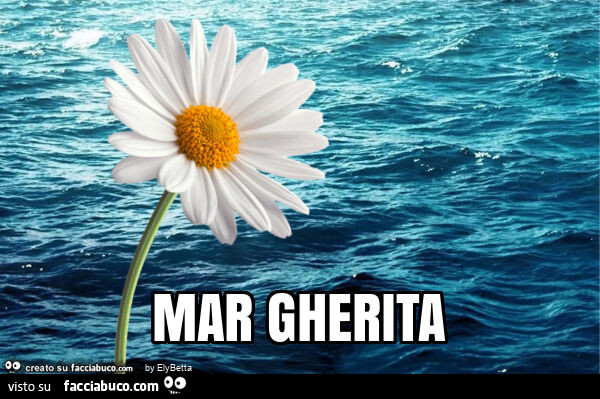 Mar gherita