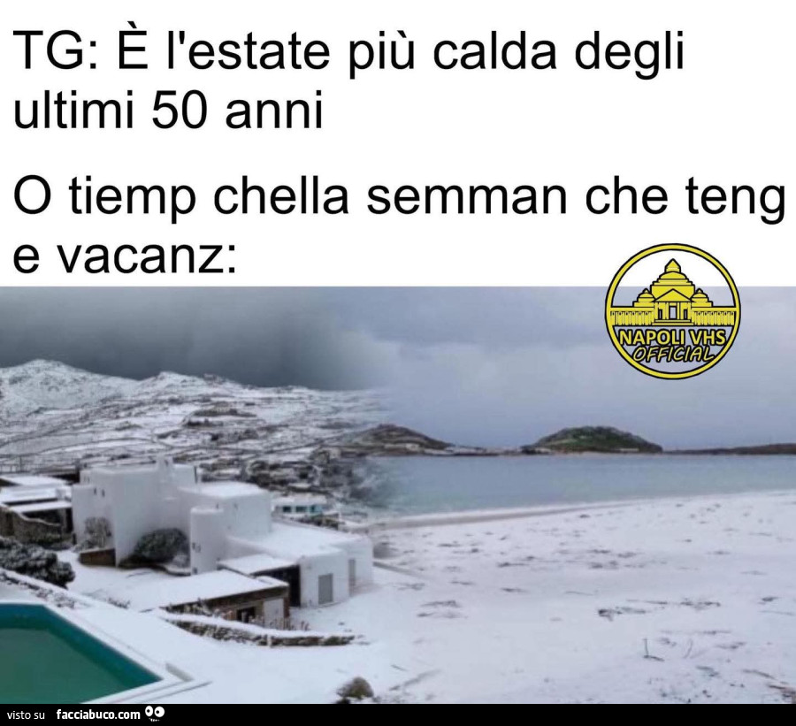 Vaccata