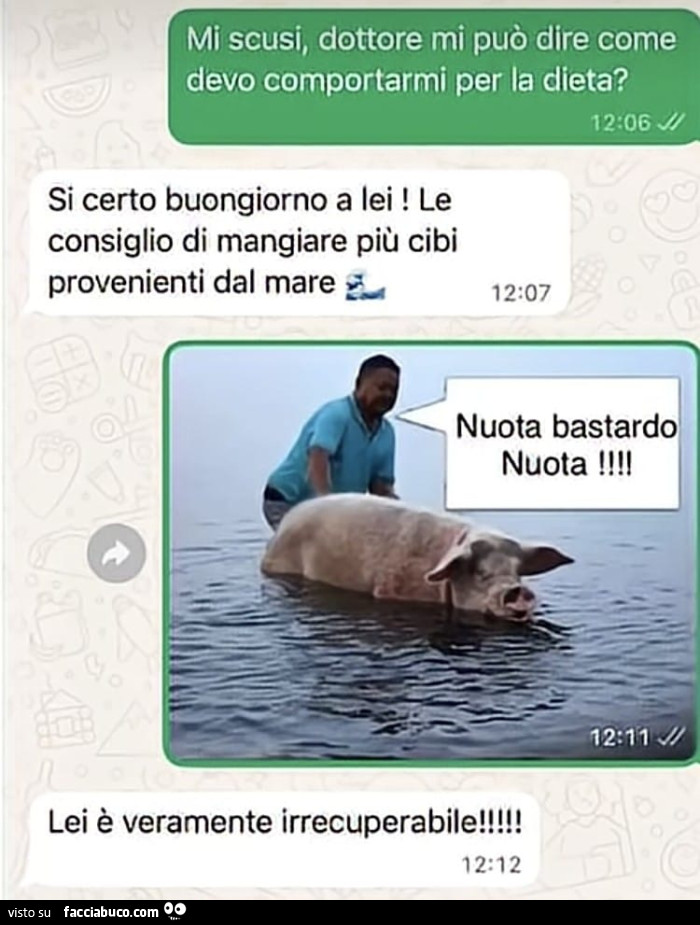 Vaccata