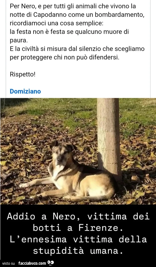 Botti