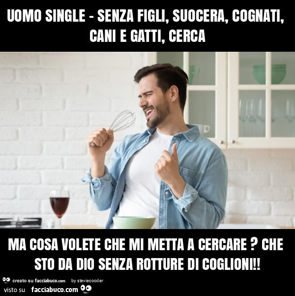 Uomo single - senza figli, suocera, cognati, cani e gatti, cerca ma cosa volete che mi metta a cercare? Che sto da dio senza rotture di coglioni